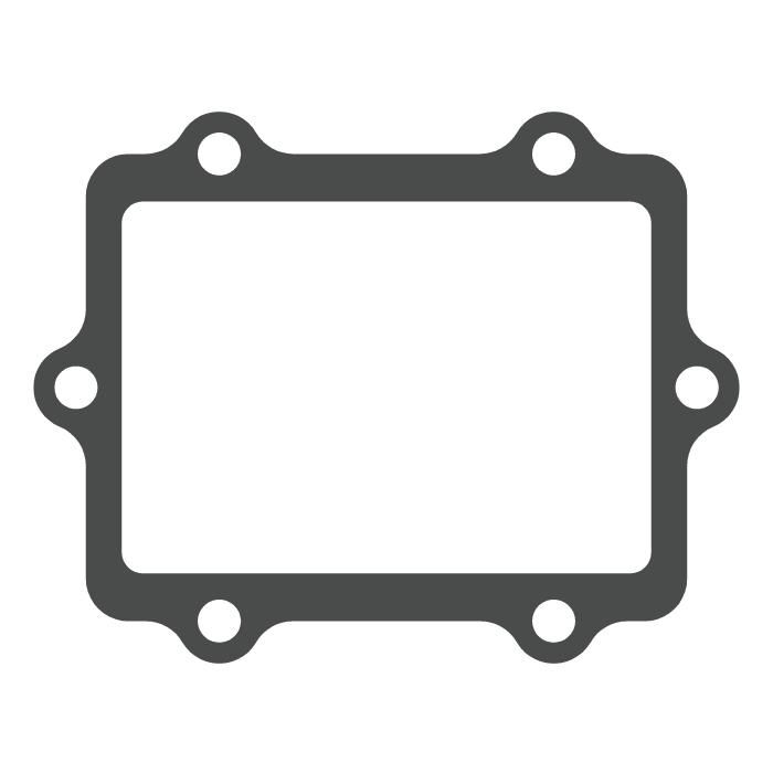 Reed valve Honda CR 250 (02-07) - V-Force 3 (gasket only) MTG05A